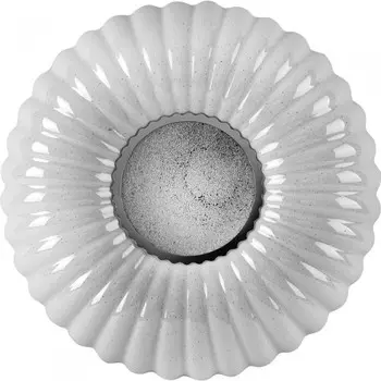 Светильник Camelion Настенно-потолочный LBS-1205