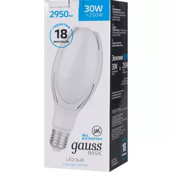 Светильник Gauss Лампа Basic BT100 AC180-240V 30W 2950lm 6500K E40 LED