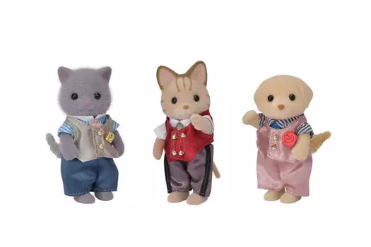 Sylvanian Families Набор Старшие братья