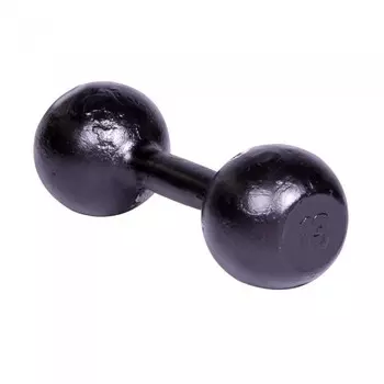 Titan Гантель литая 13 кг