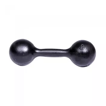 Titan Гантель литая 8 кг