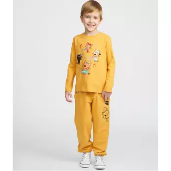 Три кота Брюки без начеса TKB211