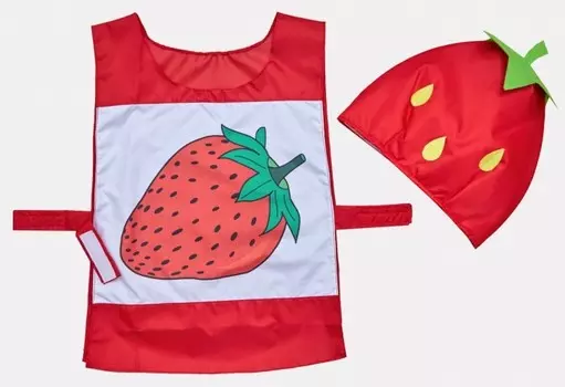 Учитель Карнавальный костюм Клубника