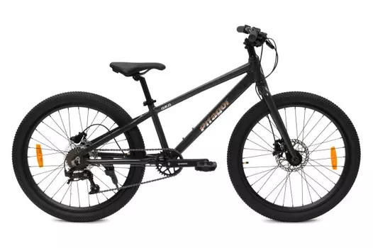 Велосипед двухколесный Pifagor Q.E.D. 24"