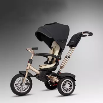 Велосипед трехколесный Iningbaby S6019