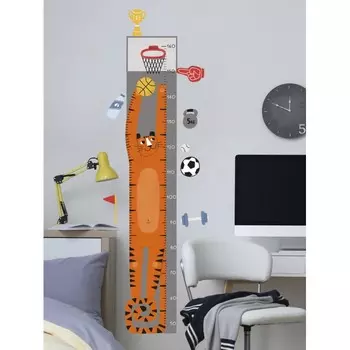 VoiceBook Ростомер Баскетбол