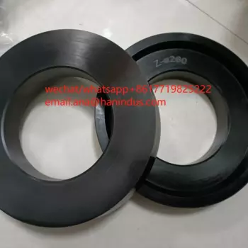 001696902A0000004 резиновый поршень для ZOOMLION DN260 для zoomlion putzmeister sany schwing
