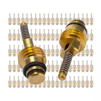 100 шт., сердечник клапана для Buick Mondeo,Excelle,Sail,GL8,Regal,LaCrosse,Hideo