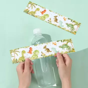 Набор наклеек для бутылок с водой "Динозавры", FENGRISE