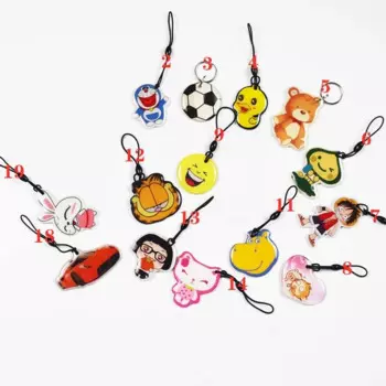 RFID метки zhizaibide AL-IDRWEPT-10 для контроля доступа