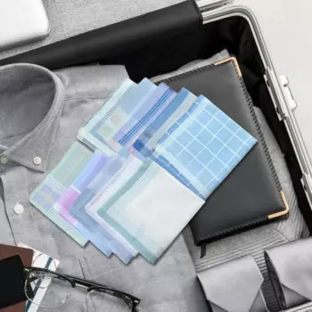 10 шт., мужские носовые платки, 30x30 см