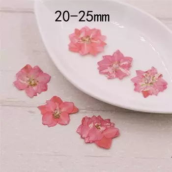 10 шт. сухие цветы Gaura lindheimeri для рукоделия SNASAN