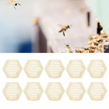 10Pcs Hexagonal Shape Queen Cages Beekeeper Tool Beekeeping Equipment Bee Keeping Accessories