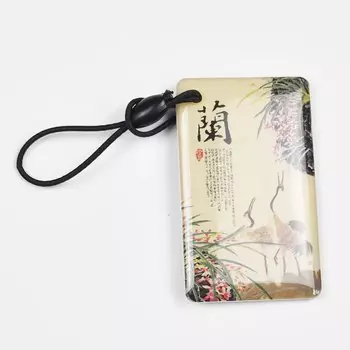 RFID-брелки zhizaibide lh-em4305/T5577- 001