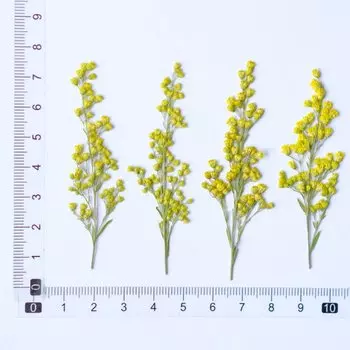 12 шт., натуральный ротанг, сухие цветы Solidago decurrens для декора