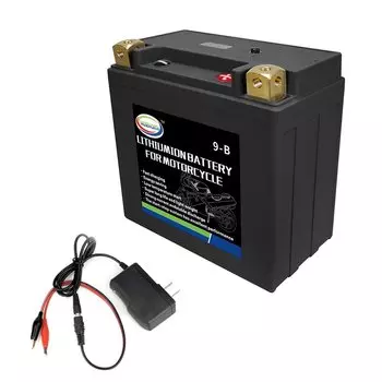 12 В аккумулятор для мотоцикла с BMS, бесплатная герметичная сменная батарея AGM Powersports для снегохода UTV ATV Yamaha Honda