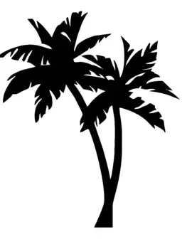 16x13,4 см пальма тропическая наклейка на автомобиль художественный декор на бампер автомобили мотоциклы внешние аксессуары виниловые наклейки,KK