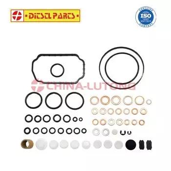 1 467 010 467 Ремкомплект ТНВД VE, Ремкомплекты Для Топливного Насоса Bosch 1467010467/800159 RENAULT 5001183547 CASE IH 2856074 MAN 81965026085