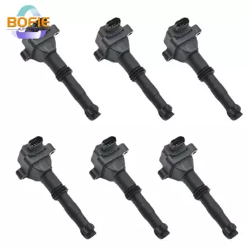 1/6 шт. Катушка зажигания для Porsche 911 Cayman Boxster катушка зажигания OEM 0986221016 99760210700 90660210101