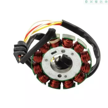 1 шт. Магнитный статор WR 250 катушка зажигания мотоцикла