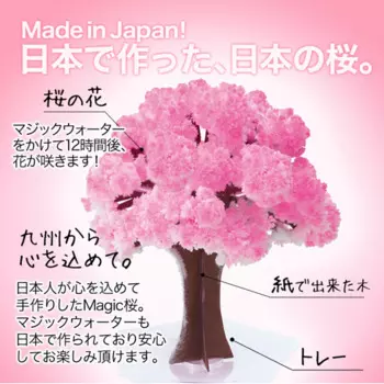 2019 135mm Pink Big Grow Paper Magic Sakura Japanese Tree Magically Growing Trees Kit Desktop Cherry Blossom Christmas Toy 10PCS
