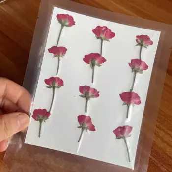 24 шт./1 ~ 2,5*3,5 см декоративные цветы мини-пресс розы ветки настоящие натуральные сушеные прессованные цветы для эпоксидной смолы, свечи