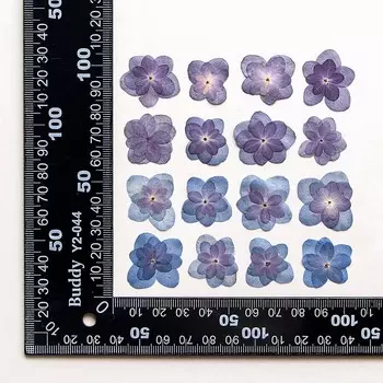 24 шт. настоящие натуральные сушеные прессованные двухслойные лепестки гортензий, маленькие сухие розы гортензии для изготовления ювелирных изделий из смолы, свечей