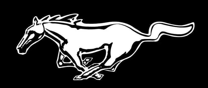 2 шт. лампа для зеркала заднего вида для 2021 Ford Mustang Mach 1