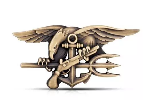 2 шт. США NAVY SEALs автомобильная эмблема авто 3D металлическая наклейка ястреб военный значок логотип ветеран капот окно мотоцикл Стайлинг