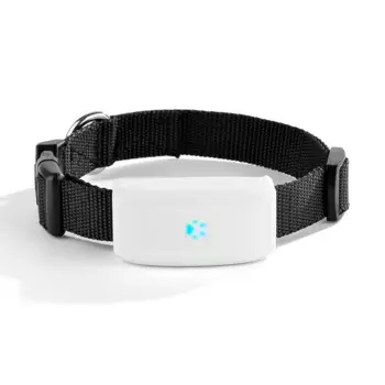 2G GSM GPS-трекер для домашних животных GPS-локатор мини GPS-трекер для домашних животных TK9112G GSM Лучший GPS для собак с бесплатным приложением
