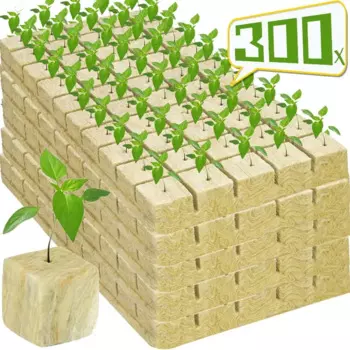 300/50 шт. кубики для выращивания семян, губка для посадки, камень, хлопок, стартовые пробки, гидропонные кубики для размножения растений, товары для дома и сада