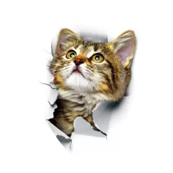 3D наклейки для стен MOONBIFFY