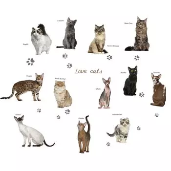 3D наклейки котята HonC