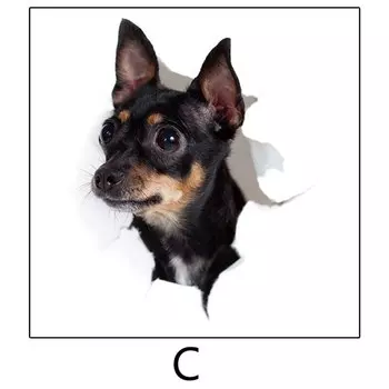 3D наклейки щенков и котиков HonC