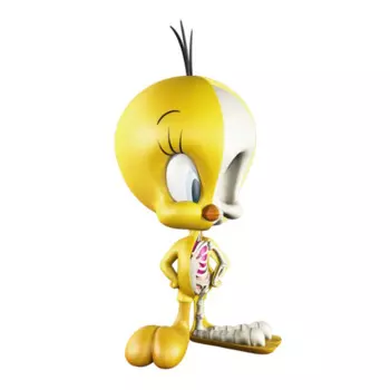 4d-xxray Tweety, анатомия тела птицы, забавный мультяшный могучий Джейсон, Фрини, декоративная модель, подарок для детей