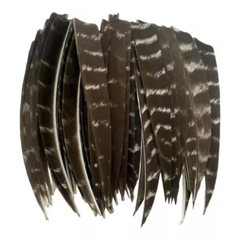 50 Pcs Natural Feather 4 Inch 5 Inch Eagle Shield Turkey Feathers Arrow Feather Fletching Arrow Accessories