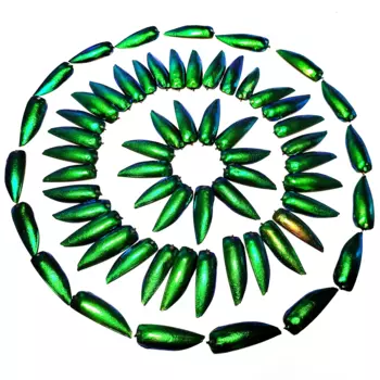 Набор украшений из крыльев жуков Elytra Emerald Green