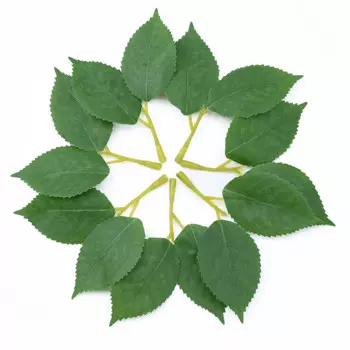 50 шт. шелковые листья вазы ZQCY