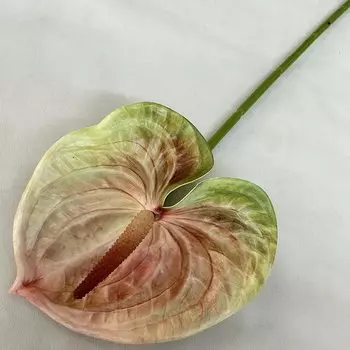 5 шт. искусственные цветы антуриум LINANUO