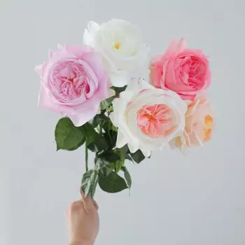 Искусственные розы Anlincong, 5 шт.