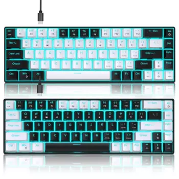 68Key Wire Механическая клавиатура Синяя подсветка Dualcolor Injections Keycaps X3UF