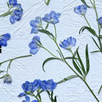 Цветочные ветки NYAConfetti