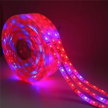 AELED Фитолампы для растений SMD 5050 12В