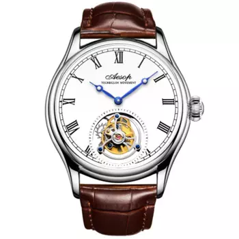 AESOP мужские механические наручные часы летающий оригинальный турбийон мужские часы со скелетом для мужчин мужские роскошные часы с поддержкой дропшиппинга