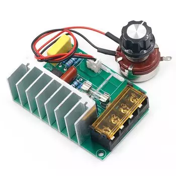 Aideepen SCR Voltage Regulator 4000W