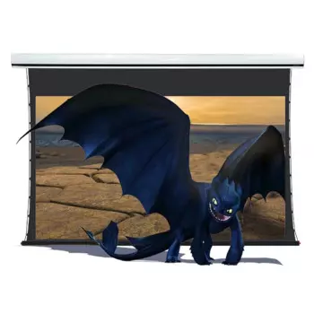 ALR 120 "HD Проекционный экран с электроприводом и натяжением