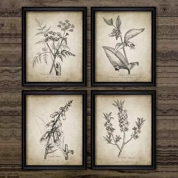Античные ботанические принты на холсте Duknow