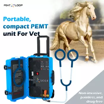 Аппарат для терапии пемф Equine, аппарат для магнитной физиотерапии пемт-конского типа с большим кольцом X Wing и бабочкой