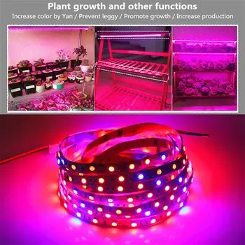 ASMTLED Светодиодная лента для роста растений 5м 60LED 12В красный+синий