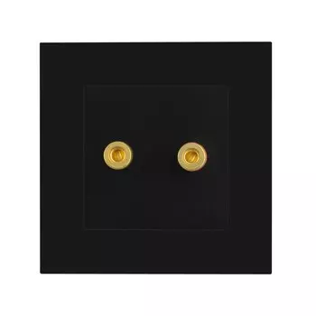 Аудиорозетка Rewnssin черная 110-250В